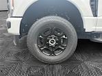 2025 Ford F-350 Regular Cab SRW 4x4 Pickup for sale #13235 - photo 14
