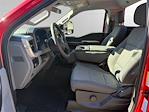 New 2026 Ford F-250 XL Regular Cab for sale #13721 - photo 9