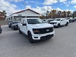 2024 Ford F-150 SuperCrew Cab 4WD Pickup for sale #MP7866 - photo 3