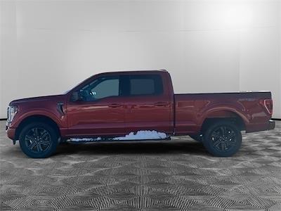 Used 2023 Ford F-150 - photo 1