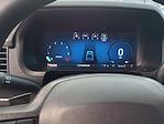 New 2025 Ford F-150 STX SuperCrew Cab for sale #E1090 - photo 31