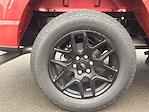 New 2025 Ford F-150 STX SuperCrew Cab for sale #E1093 - photo 17