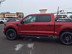New 2025 Ford F-150 STX SuperCrew Cab for sale #E1093 - photo 10