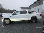 New 2025 Ford F-150 STX SuperCrew Cab for sale #E1132 - photo 16