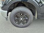 2023 Ford F-150 SuperCrew Cab 4WD Pickup for sale #P12538 - photo 9