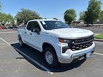 New 2025 Chevrolet Silverado 1500 Work Truck Double Cab 4WD Pickup for sale #250637 - photo 1