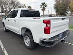 New 2026 Chevrolet Silverado 1500 Work Truck Crew Cab for sale #260373 - photo 5