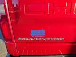 2024 Chevrolet Silverado 1500 Crew Cab 4WD Pickup for sale #319890 - photo 14