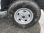 2025 Ford F-250 Crew Cab 4x4 Pickup for sale #F1286 - photo 3