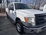 2013 Ford F-150 SuperCrew Cab 4x4 Pickup for sale #F27339 - photo 4