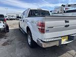 2013 Ford F-150 SuperCrew Cab 4x4 Pickup for sale #F27339 - photo 2