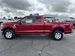 2021 Ford F-150 Super Cab 4x4 Pickup for sale #QE98088 - photo 8