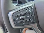 New 2025 Chevrolet Silverado 3500 LT Crew Cab 4WD Pickup for sale #C4964 - photo 31