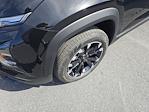 2025 Chevrolet Equinox FWD SUV for sale #25C164 - photo 9