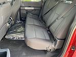 New 2025 Ford F-150 XLT SuperCrew Cab 4x4 Pickup for sale #JSKE75478 - photo 29