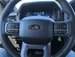 2025 Ford F-150 SuperCrew Cab 4WD Pickup for sale #JSKF22248 - photo 21