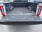 2025 Ford F-250 Crew Cab 4WD Pickup for sale #TSEE08601 - photo 19