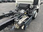 New 2023 Chevrolet LCF 5500XD Base Regular Cab 4x2 Cab Chassis for sale #T231385 - photo 21