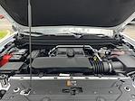 2025 Chevrolet Colorado Crew Cab 4x4 Pickup for sale #T250608 - photo 36