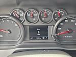 2024 Chevrolet Silverado 1500 Double Cab RWD Pickup for sale #242042A - photo 10