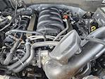 2023 Ford F-150 SuperCrew Cab 4WD Pickup for sale #243965A - photo 30