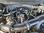 2025 Ford F-150 SuperCrew Cab RWD Pickup for sale #251416A - photo 29