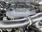 2022 Ford F-150 SuperCrew Cab 4WD Pickup for sale #251417A - photo 20