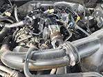 2024 Ford F-150 SuperCrew Cab RWD Pickup for sale #251519A - photo 29