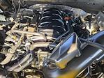 2023 Ford F-150 Regular Cab 4WD Pickup for sale #251669B - photo 20