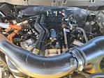 2024 Ford F-150 SuperCrew Cab 4WD Pickup for sale #260002A - photo 25