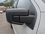 2024 Ford F-150 SuperCrew Cab 4x4 Pickup for sale #24FT658 - photo 11