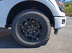 2024 Ford F-150 SuperCrew Cab 4x4 Pickup for sale #24FT680 - photo 10