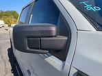2024 Ford F-150 SuperCrew Cab 4x2 Pickup for sale #24FT684 - photo 11