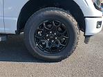 2024 Ford F-150 SuperCrew Cab 4x4 Pickup for sale #24FT782 - photo 19