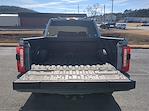 2024 Ford F-250 Crew Cab 4x4 Pickup for sale #24FT893A - photo 12