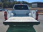 2024 Ford F-350 Crew Cab SRW 4x4 Pickup for sale #24FT913 - photo 12