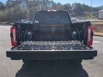 2024 Ford F-350 Crew Cab SRW 4x4 Pickup for sale #24FT931 - photo 12