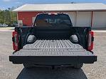2025 Ford F-250 Crew Cab 4x4 Pickup for sale #25FT250 - photo 12
