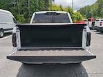 2020 Ford F-150 SuperCrew Cab 4x2 Pickup for sale #25FT260A - photo 20