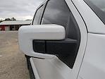 2025 Ford F-150 SuperCrew Cab 4x4 Pickup for sale #25FT313 - photo 11
