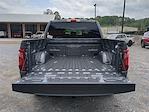 2025 Ford F-150 SuperCrew Cab 4x2 Pickup for sale #25FT357 - photo 12
