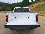 2025 Ford F-150 SuperCrew Cab 4x4 Pickup for sale #25FT377 - photo 12