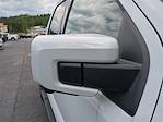 2025 Ford F-150 SuperCrew Cab 4x4 Pickup for sale #25FT380 - photo 11