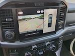 2025 Ford F-150 SuperCrew Cab 4x4 Pickup for sale #25FT439 - photo 28