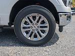 2025 Ford F-150 SuperCrew Cab 4x4 Pickup for sale #25FT456 - photo 19
