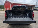 2025 Ford F-150 SuperCrew Cab 4x4 Pickup for sale #25FT461 - photo 21