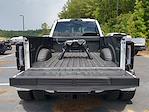 New 2025 Ford F-450 Platinum Crew Cab 4x4 DRW Pickup for sale #25FT473 - photo 21