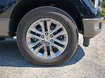 2025 Ford F-150 SuperCrew Cab 4x4 Pickup for sale #25FT536 - photo 19