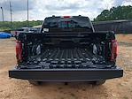 2025 Ford F-150 SuperCrew Cab 4x4 Pickup for sale #25FT646 - photo 21