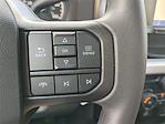 2025 Ford F-350 Crew Cab DRW 4x4 Pickup for sale #25FT668 - photo 32